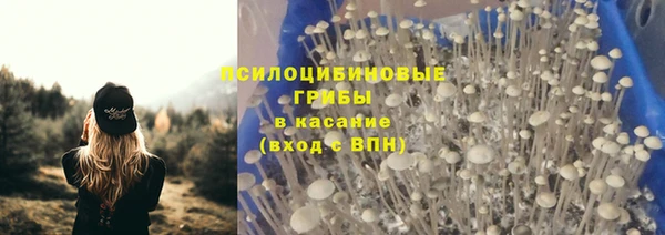 стаф Вязники