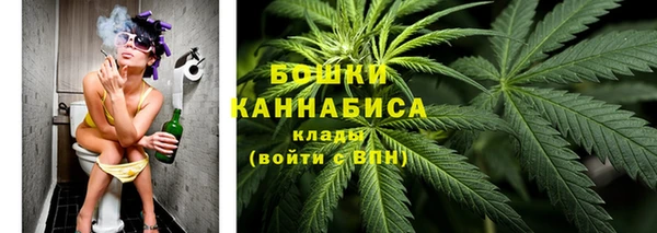стаф Вязники