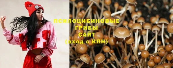тгк Вязьма