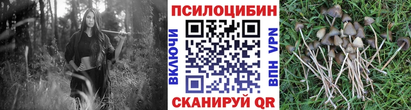 Галлюциногенные грибы ЛСД  Ахтырский 